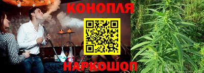 трава Новозыбков