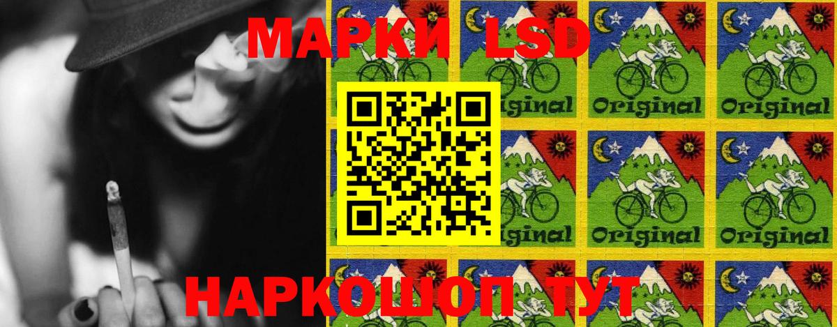 МЕФ Россошь