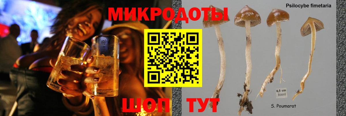 где купить   Псилоцибиновые грибы MAGIC MUSHROOMS  Вход с VPN  Псилоцибиновые грибы MAGIC MUSHROOMS  Россошь 